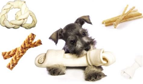We're here to help you find the best dog bones for puppies. 🥇10 Best Rawhide for Puppies to Buy in (November 2020) - Buyer's Guide