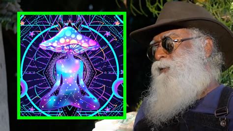 Sadhgurus Thoughts On Psychedelic Drugs Youtube