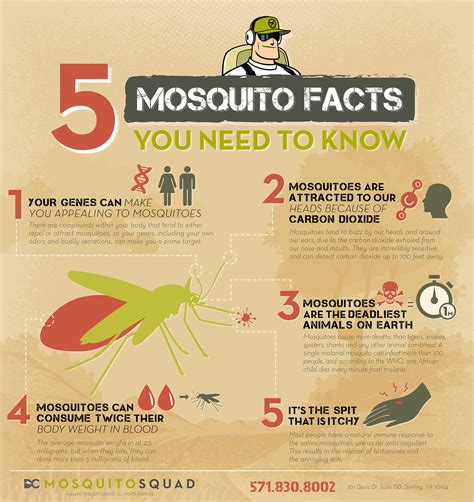 5 Mosquito Facts You Need To Know