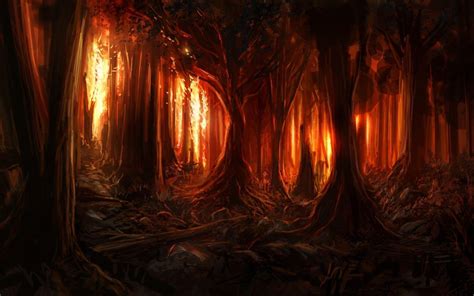 Forest Fire Wallpapers Wallpaper Cave
