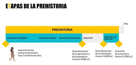 Cronolog A La Prehistoria El Proceso De Hominizaci N