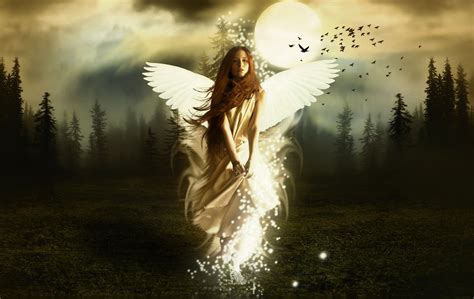 Beautiful Angels Wallpapers 2013