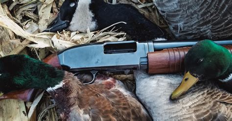 4 Waterfowl Shotguns That Have Stood The Test Of Time Meateater Hunting