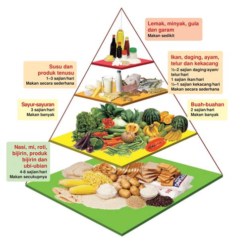 Daily Nutrition Guide Pyramid Rezfoods Resep Masakan Indonesia
