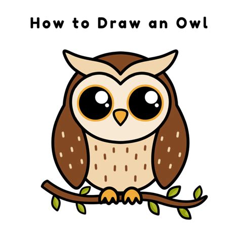 How To Draw An Owl For Kids Drawingnow
