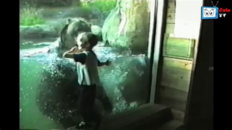 Kids At The Zoo Compilation Funny Kids Video Dailymotion