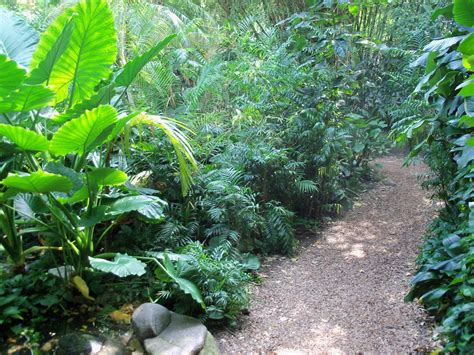 Indonesian Rain Forest Walk Through Aviary Zoochat