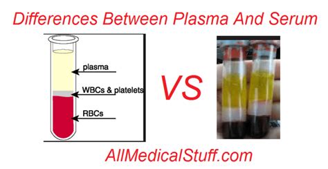 Differences Between Plasma And Serum All Medical Stuff