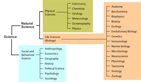 😊 Main Branches Of Science The Major Branches Of Psychology 2019 03 04