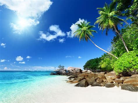 paradise beach wallpapers top free paradise beach backgrounds wallpaperaccess