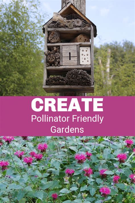 Make Pollination More Successful In The Garden By Building A Habitat