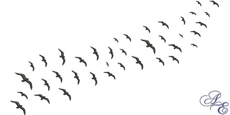 Bird Migration Flock Common Starling Beak Bird Png Download 722361