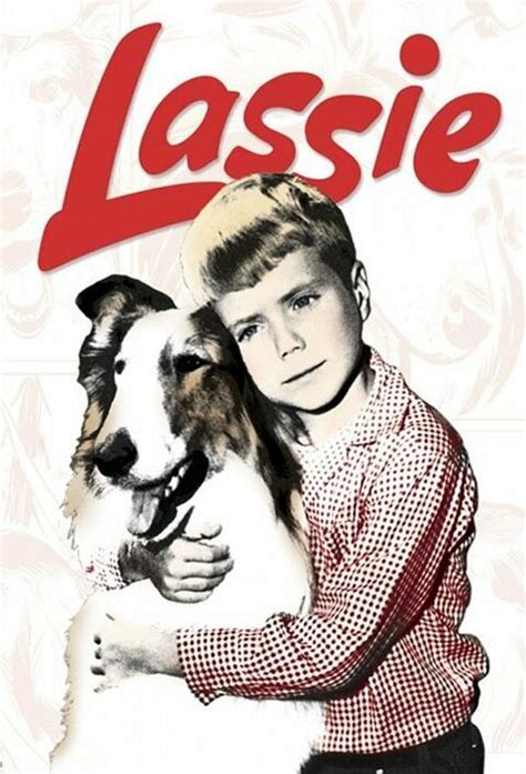 Lassie Episodenguide Liste Der 590 Folgen Moviepilotde Moviepilotde