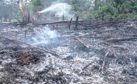 Waspada Terjadi Kebakaran Hutan Dan Lahan Koran Jakarta Com