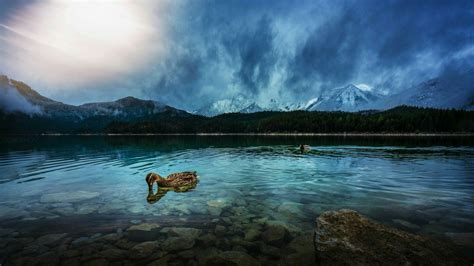 Crystal Clear Mountain Lake With A Duck Under The Clouds Backiee