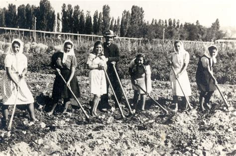Jews From Sofia Tend Their Garden Outside Haskovo Bulgaria Where They