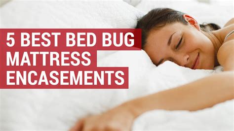 Top 5 Best Bed Bug Mattress Encasements Reviews And Buyers Guide