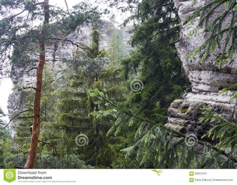 Rocks And Forest Stock Photo Image Of Landscape Scene 58297010