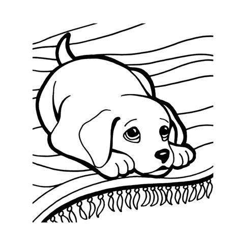 Dhv gedrag hond en kat. puppy op een vloerkleed - Kleurplaten voor volwassenen ...