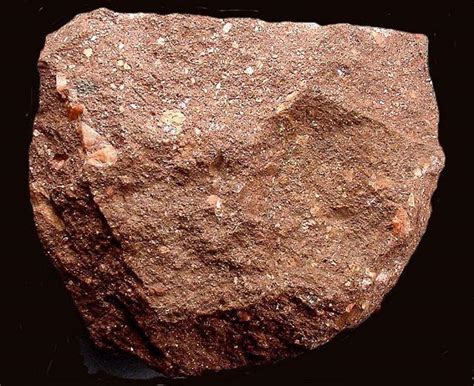 Sedimentary Rocks At University Of Michigan Ann Arbor