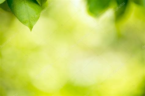 Green Nature Background — Stock Photo © Pixelheadphoto 73215441