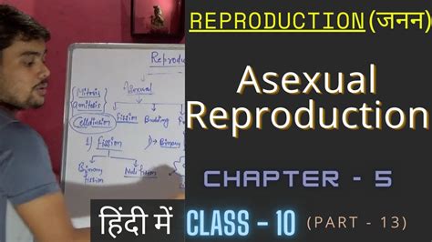 Introduction To Reproduction Asexual Reproduction Class 10