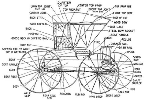 Carriage Museum Of America Carriage Types Word Choices Pinterest