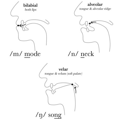 Nasal Consonant Sounds The Sound Of English