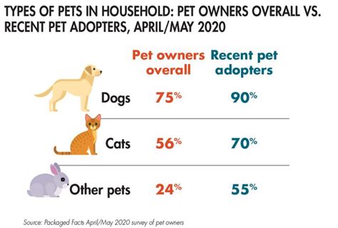 Pet Adoption Increase During Covid Anna Blog