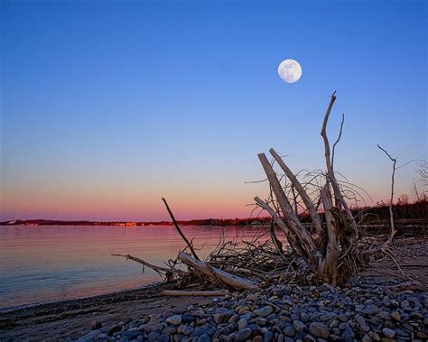 Evening Moonrise Photograph By Luann Griffin