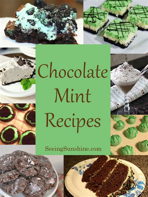 10 Chocolate Mint Recipes Seeing Sunshine