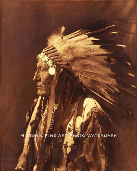 Cheyenne Indian Chief Little Wolf Vintage Photo Native American 810