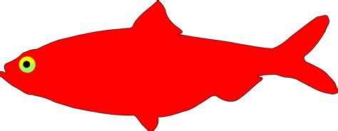 Free Red Fish Cliparts Download Free Red Fish Cliparts Png Images