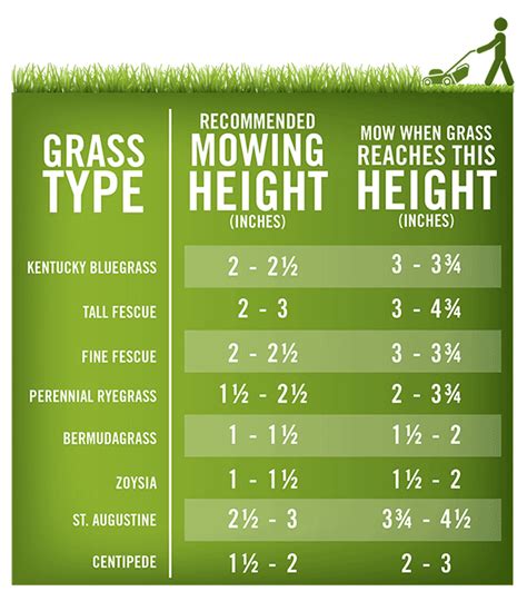 Proper Mowing Not Only Leads To An Attractive Lawn But Also Increases