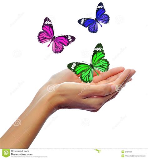 Hands Releasing Butterflies Royalty Free Stock Image - Image: 27296026