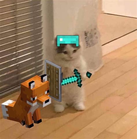 Meme Pfp Cat Minecraft Cat Meme By Smemeg On Deviantart Despite The Best Porn Website