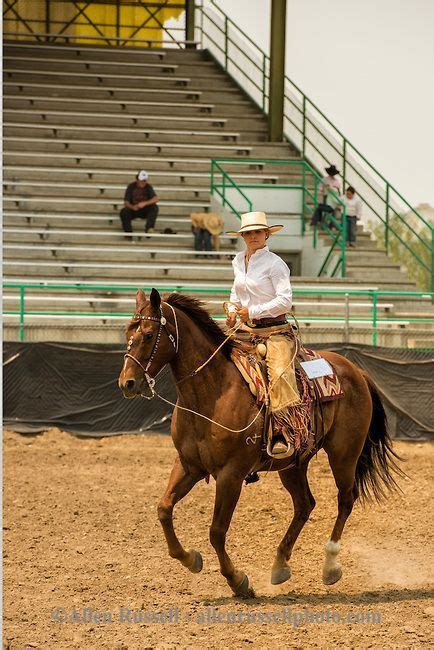 Will James Roundup Ranch Rodeo Working Ranch Horse Hardin Montana