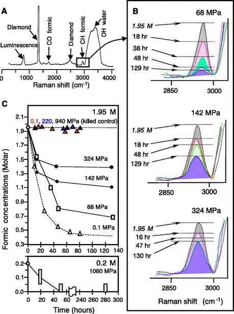 Microbial Activity At Gigapascal Pressures Science