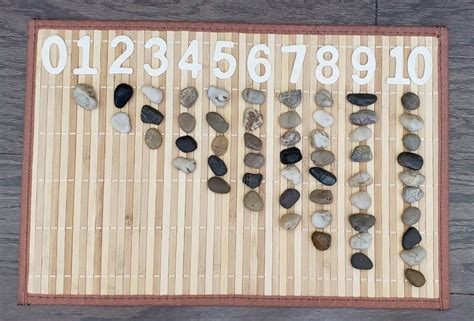 Loose Parts Number Exploration Math Activity Fine Motor Etsy