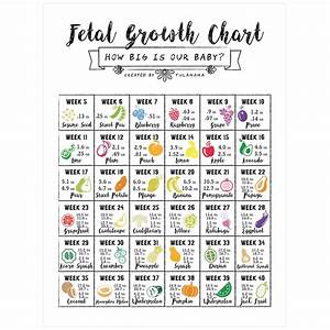  Belly Progression Chart To Help You Track Your Pregnancy