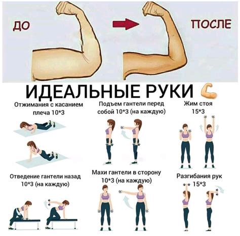 Упражнения Full Body Gym Workout Gym Workout Tips Fitness Workout For