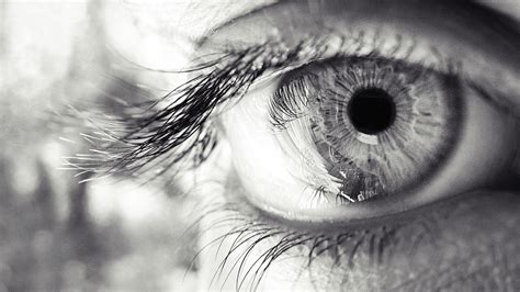 Wallpaper Eye Eyelashes Pupil Black And White 1920x1080