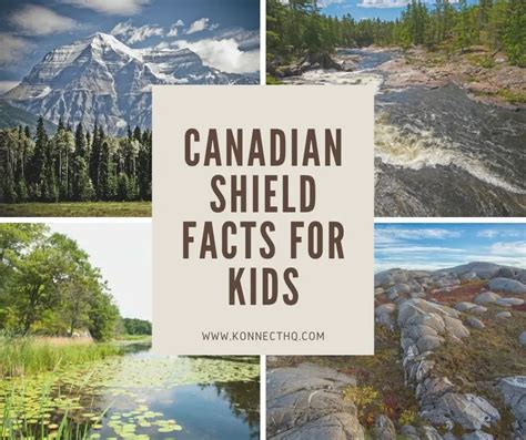 Canadian Shield Facts For Kids Konnecthq