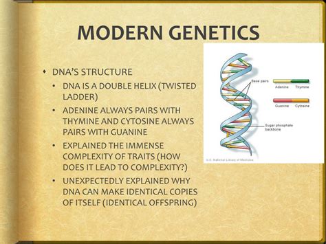 Ppt Modern Genetics Powerpoint Presentation Free Download Id2084271