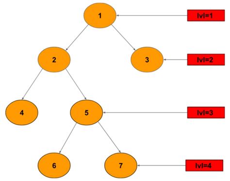 Level Binary Tree Coding Ninjas