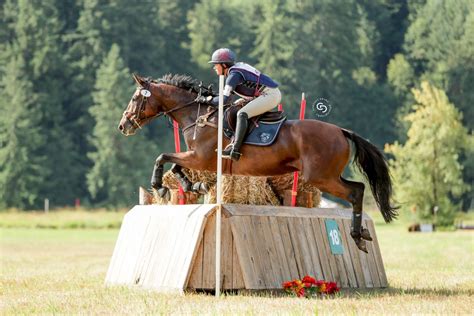 Three Day Eventing In 2020 Eventing Cross Country Eventing Horses