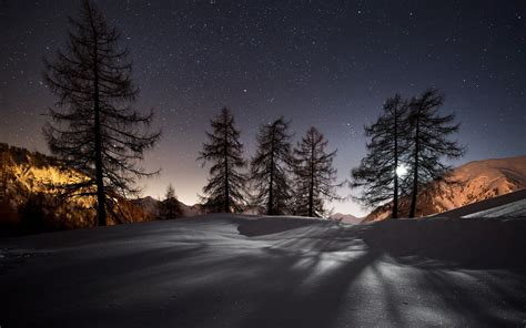 Night Winter Snow Mountains Trees Stars Nature