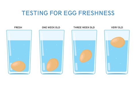 Science Experiment With Water Testing For Egg Freshness 22528066