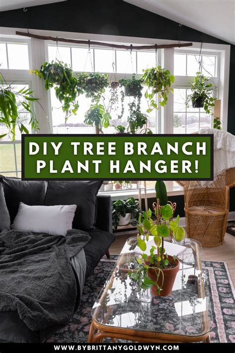 See How I Made A Gorgeous Diy Tree Branch Plant Hanger In Tree