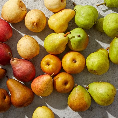 7 Types Of Pear Varieties Extra Helpings